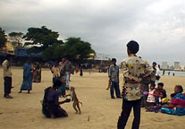 Monkey working in Chowpatty Beach.