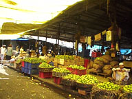 Crawford Market, North of V.T.