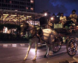 Buggy in front of Taj's entrance.