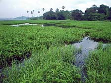 Lakeside, near the Guest House
