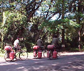 CNG carried on bikes.