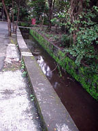 Serious rains require serious drains.