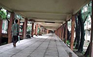 Rain walk near main building