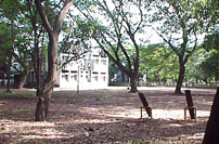 Schoolyard.