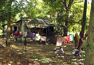 Shack.