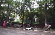 Building a drain.