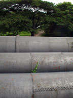 Water pipes 3