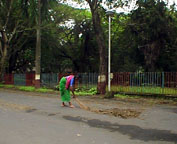 Street sweeper, IIT.